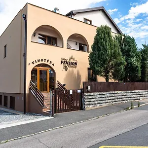 3* Pensjonat Wine